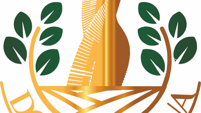 6 (40)